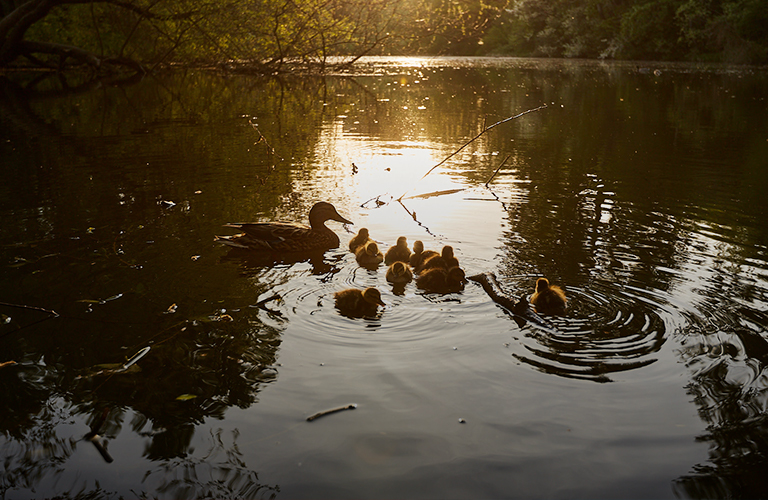 Цивильные и не очень: дюжина мест, где владимирцы могут отдохнуть у воды