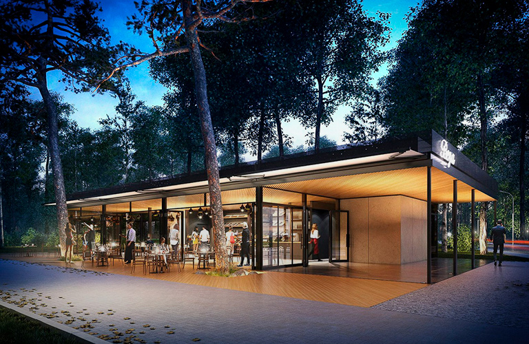 Парк мечты за пару кликов: онлайн-опросы о концепции садов у ДТЮ