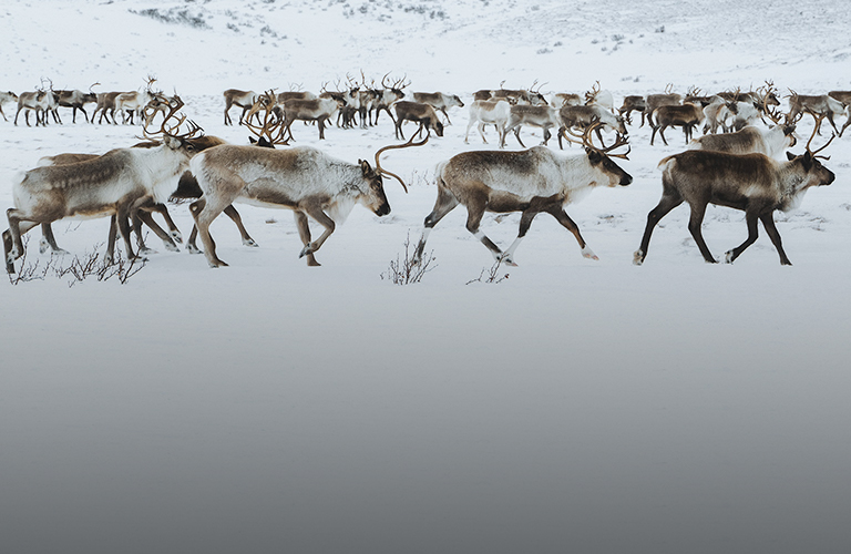 Travel-фотограф Андрей Белавин: «Чукотка — иная планета, а Суздаль — мое место силы»