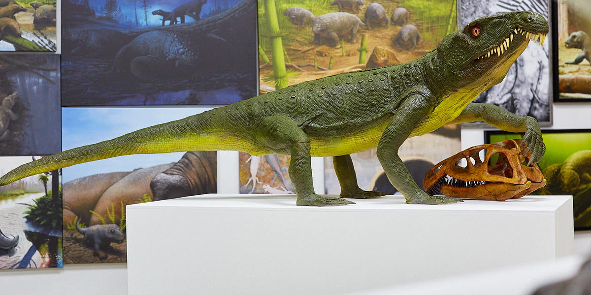 В начале времен: древнейшие хищники и редкие насекомые в частном музее коллекционера