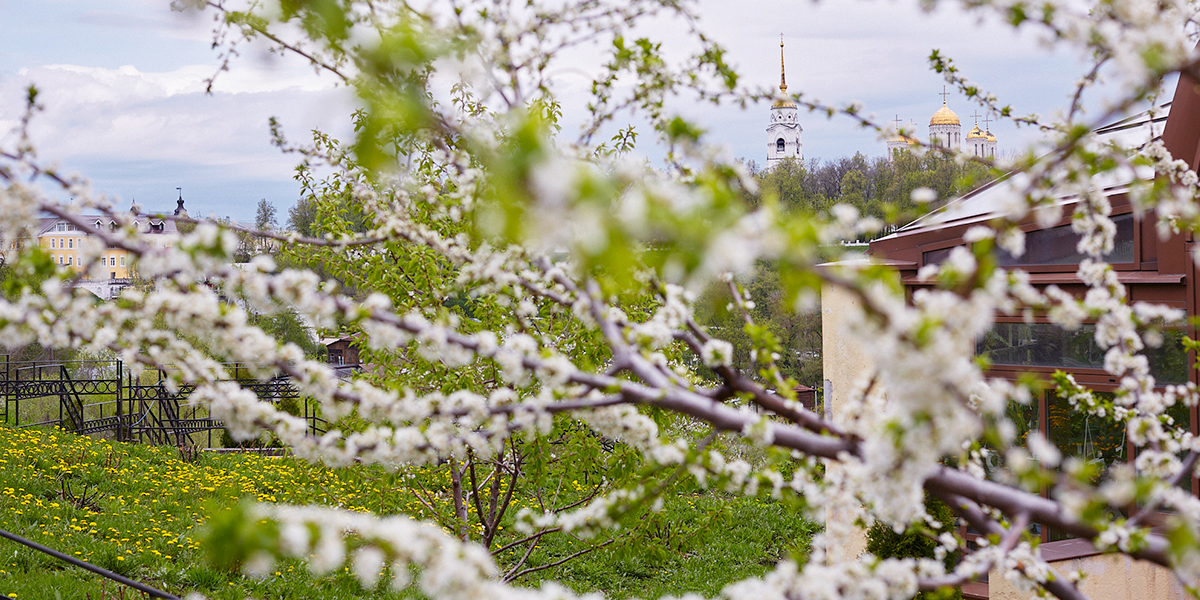 Цветущий оазис древнего города. Чем может похвастаться Патриарший сад накануне 75-летия
