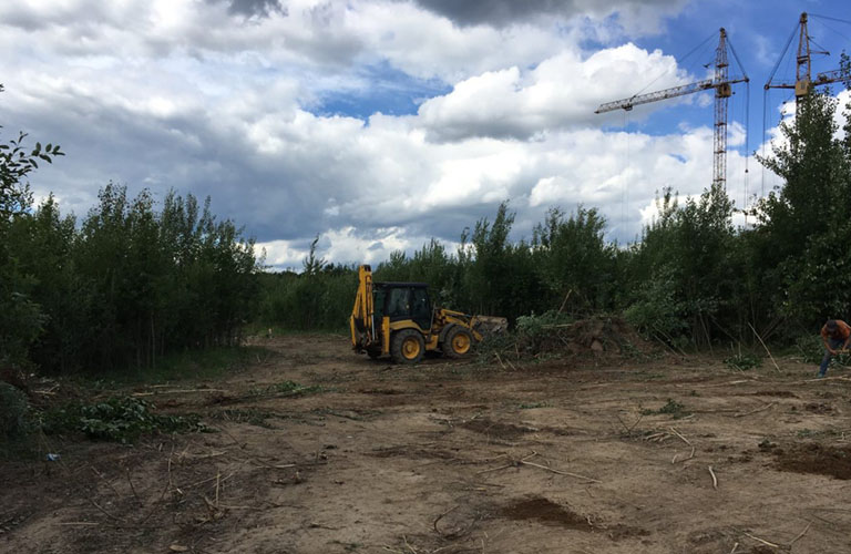 Операция #CпасемДружбу на грани срыва: Возле парка вырубили просеку