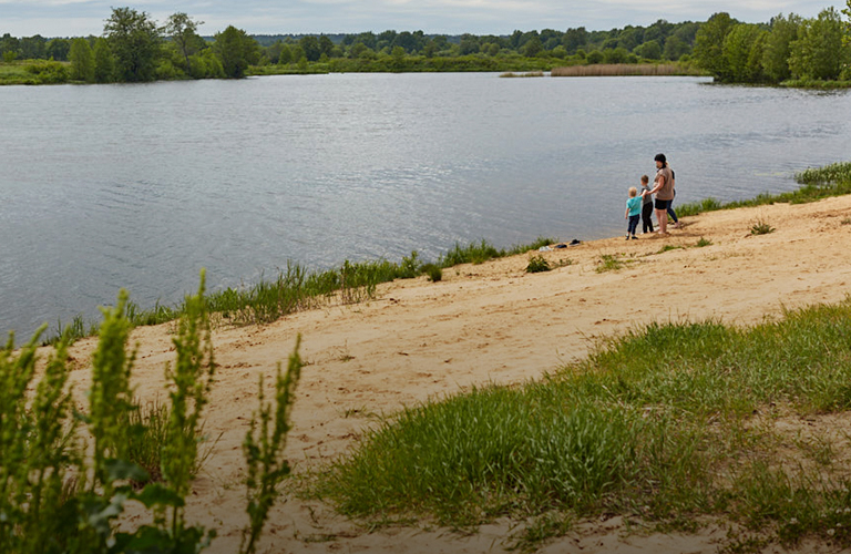 С глэмпингом и пляжами! На берегу озера Запольское обустроят новую зону для отдыха