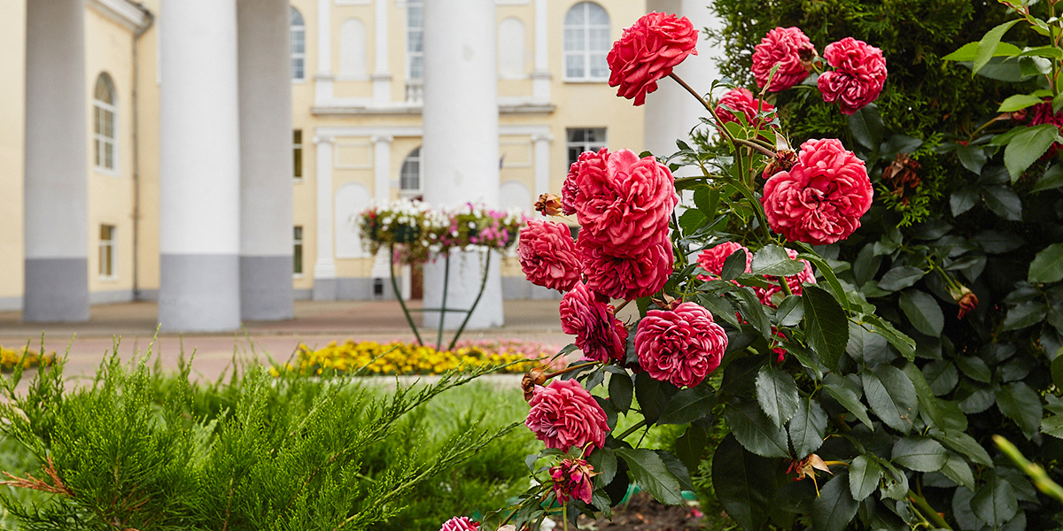 В поисках зелени. Три владимирские локации, над которыми всерьез поколдовали садовники