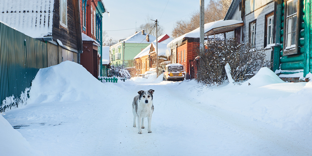 Район люмпенов и маргиналов: тёмное прошлое Рабочей улицы