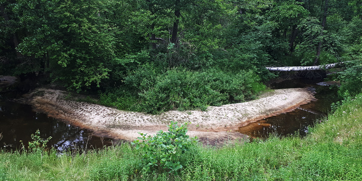 За край мира, в микрорайон. Экспедиция в Ширманиху