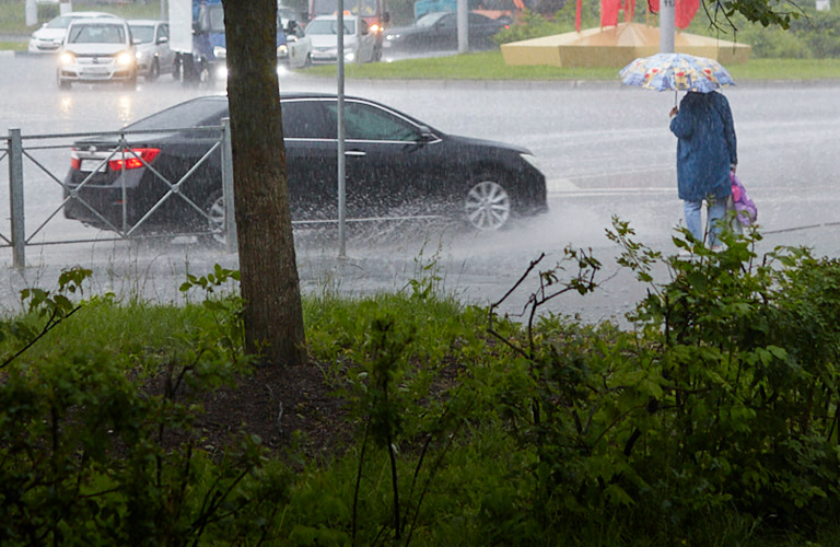 Смена погодного курса: дождливый август установил в 33-м регионе свои правила