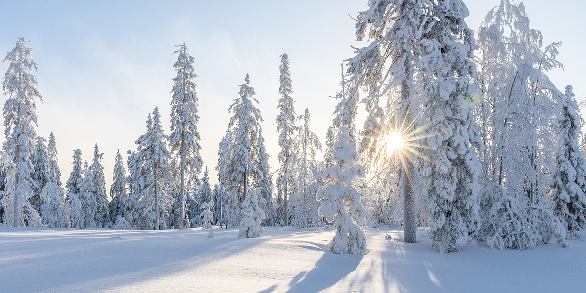 Синоптики предупреждают: в феврале морозы будут похлеще крещенских