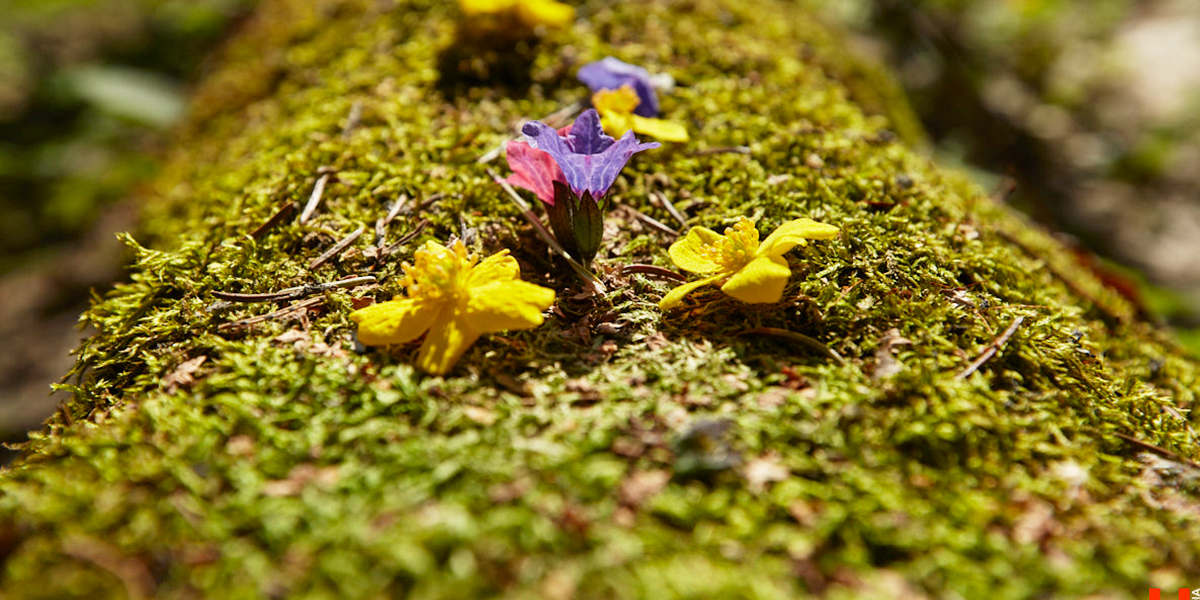 Потеплеет до летних значений. Как долго в области продержится «идеальная погода»?