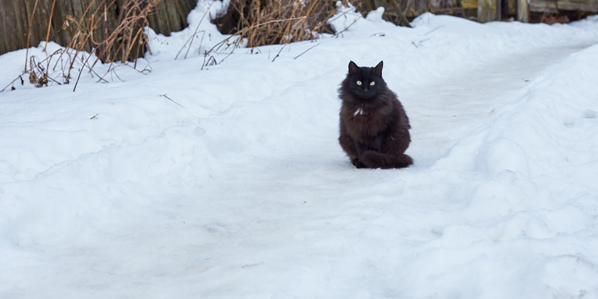 Владимир суеверный: какие приметы и поверья существуют в 33-м регионе?
