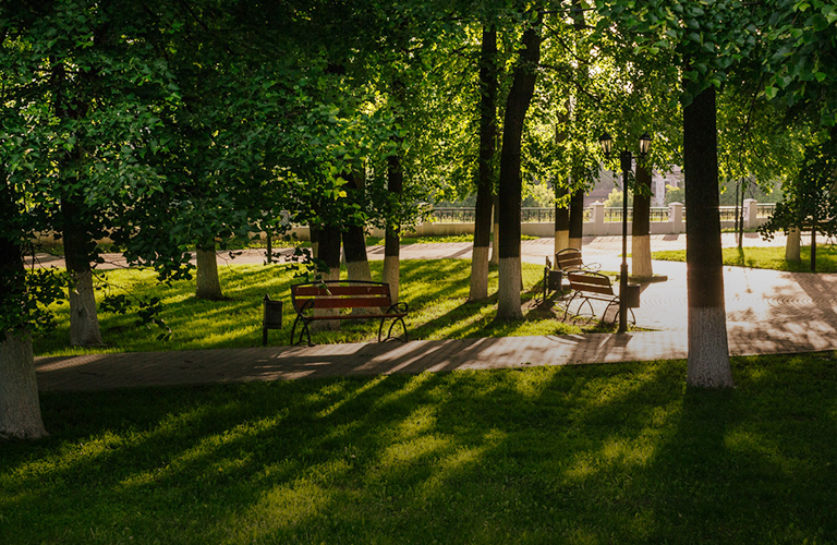 Жара во Владимире бьет все рекорды: когда же она спадет?