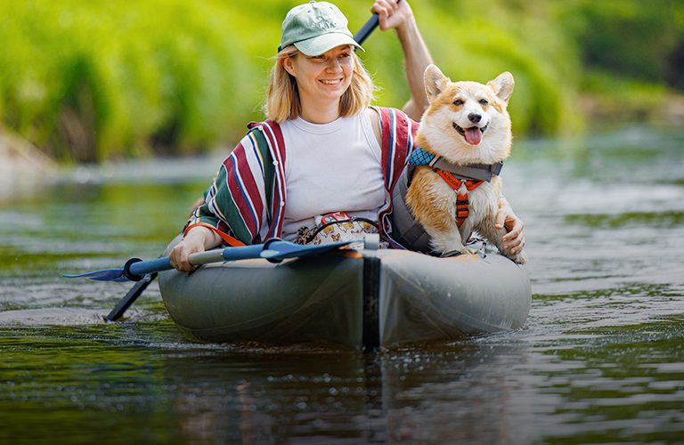 Дог-френдли туризм: в Судогодском районе прошел сплав на байдарках в компании собак