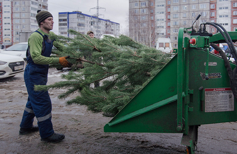 Ёлку - в щепки! Во Владимире появился новый сервис