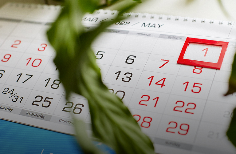 Впереди майские праздники: сколько будем отдыхать и куда можно поехать?