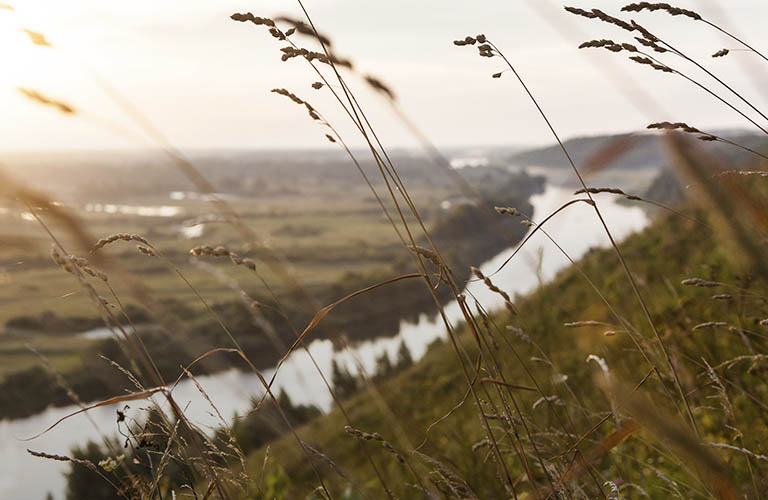Чем порадует первая летняя неделя и когда откроется купальный сезон?