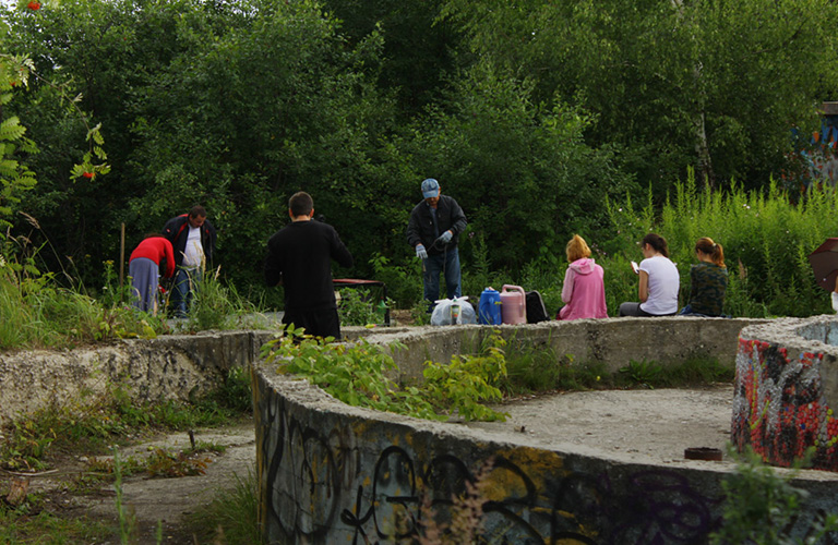 «Зеленый щит» спасет владимирские деревья от вырубки, но не везде
