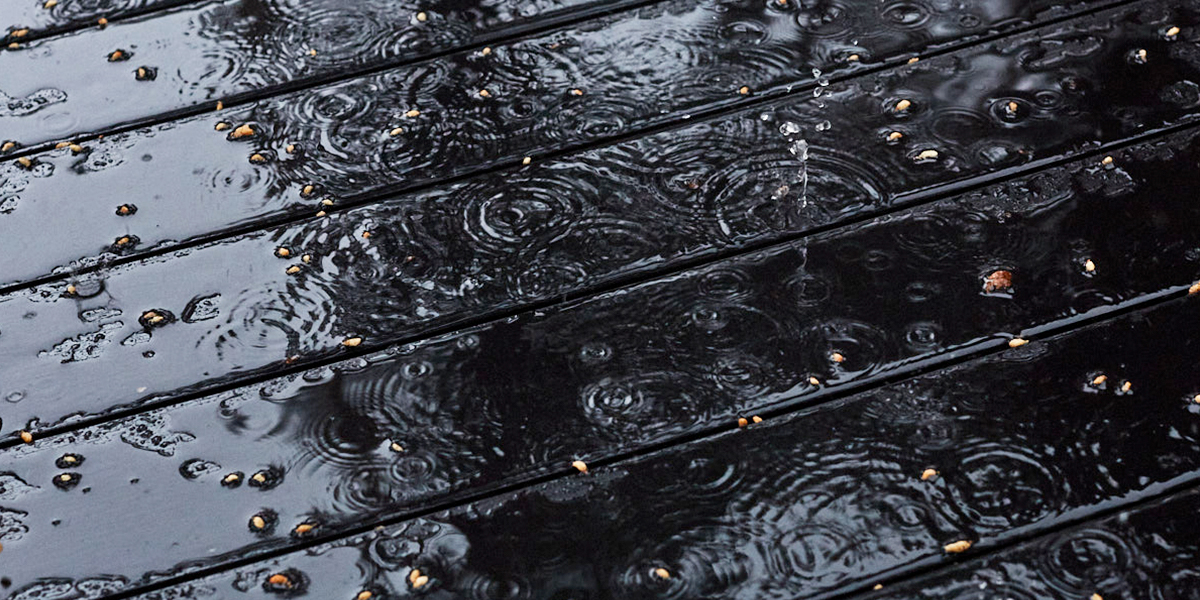 «Я устал, я ухожу»: август уступит место осени раньше положенного срока