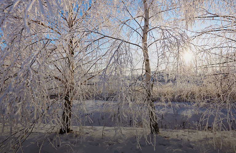 Ждать ли 33-му региону потепления среди зимы?