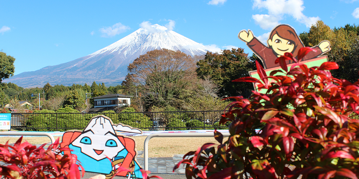 «В Японии почти не едят роллы»: жительница Владимира о пятой поездке в Страну восходящего солнца