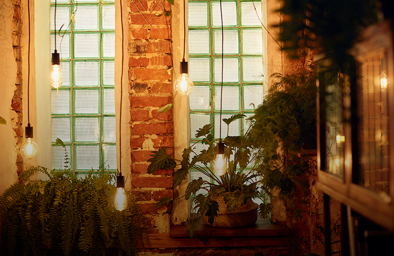 Эстетика растений и предметов декора с ретросклада: новое зеленое пространство на территории ТЭЦ-1