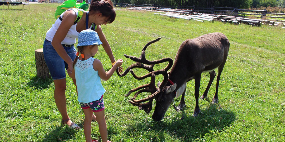Любовь к животным - как источник вдохновения в бизнесе Сони Цымбалюк