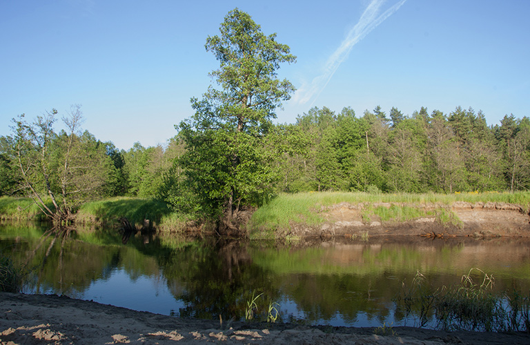 Пляжный сезон? А вот и нет. Владимирцам до сих пор нельзя купаться