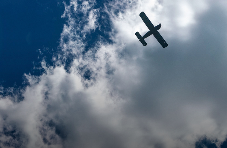 100 лет владимирской авиации: что вы об этом знаете?