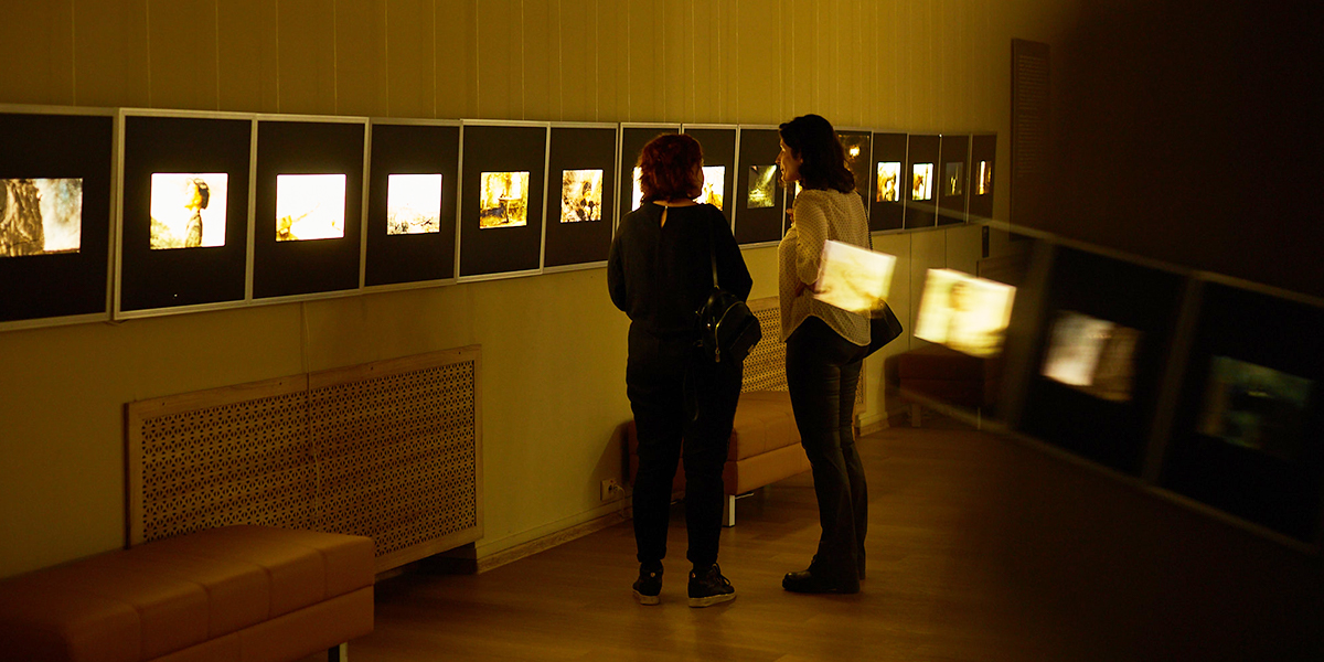 Появится ли Владимир в новом мультфильме обладателя «Оскара»?