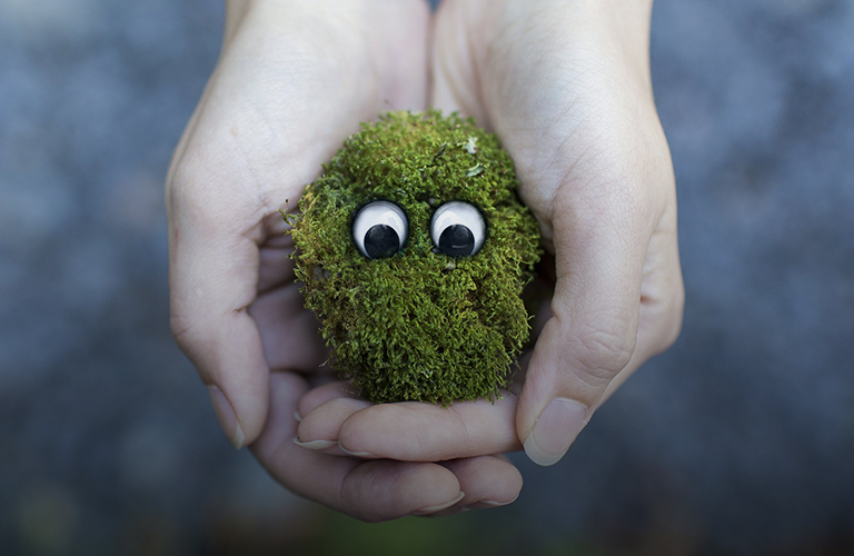 Продуктовый челлендж: в муромской школе прошел первый урок экологики