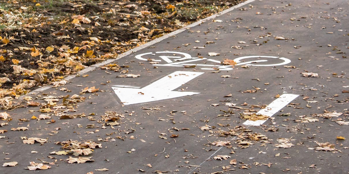 Обзор за неделю: рост цен в транспорте, велодорожка в Добром и новые камеры видеофиксации