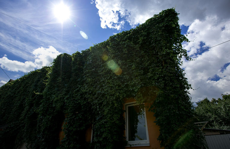 Архитекторы о ветхом жилье. Плюсы, минусы, реновация