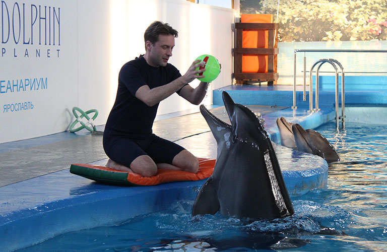 Рванем на выходные? Дельфинарий под Ярославлем - место, где сбываются мечты!