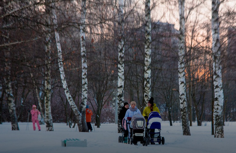 Дырявый «Зеленый щит»: городские парки исключили из «охранного» списка