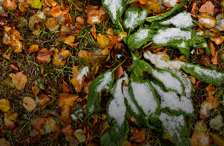 Зима близко: 33-й регион готовится перешагнуть нулевой рубеж