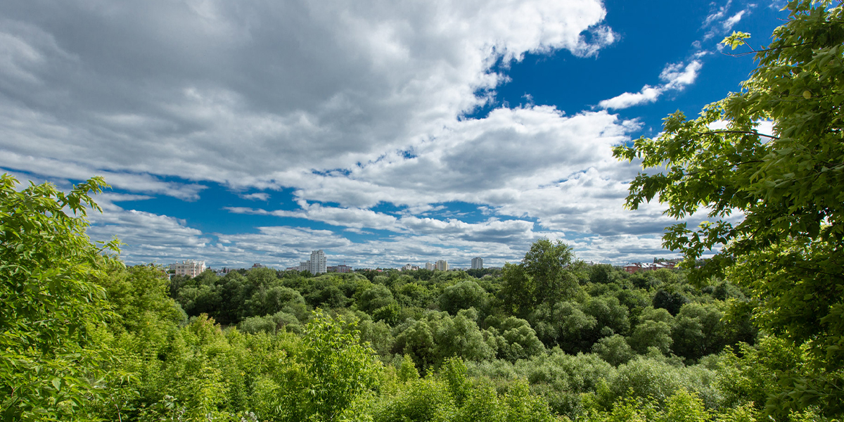 Во Владимир ворвется по-настоящему теплый июль