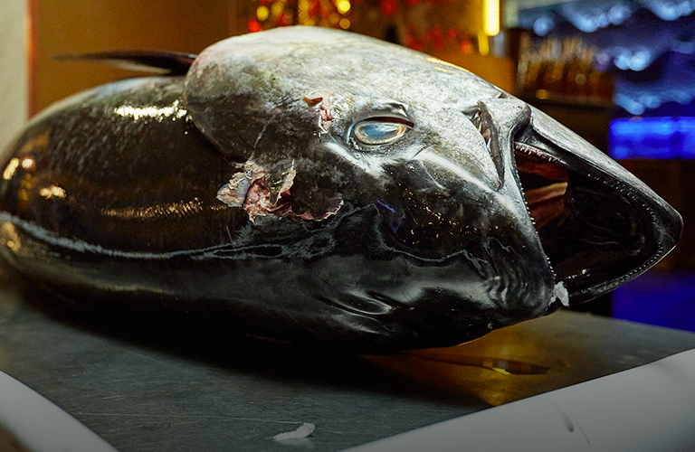 Вечер тунца в «Кабуки 2.0»: гастрошоу, живой вокал и деликатес прямиком из вод Индийского океана