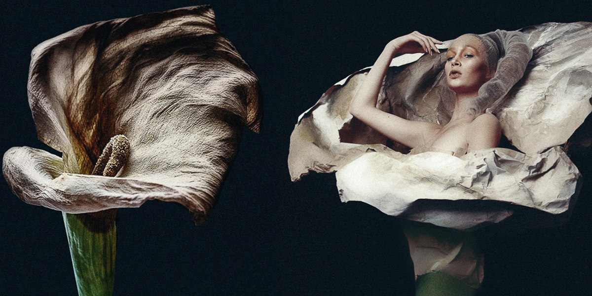 Владимирский «Увядающий цветок» попал в международный фэшн-журнал