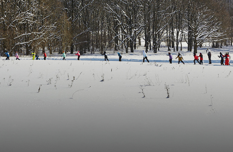 В парке «Дружба» появится новый спортивный кластер с круглогодичной трассой и стадионом