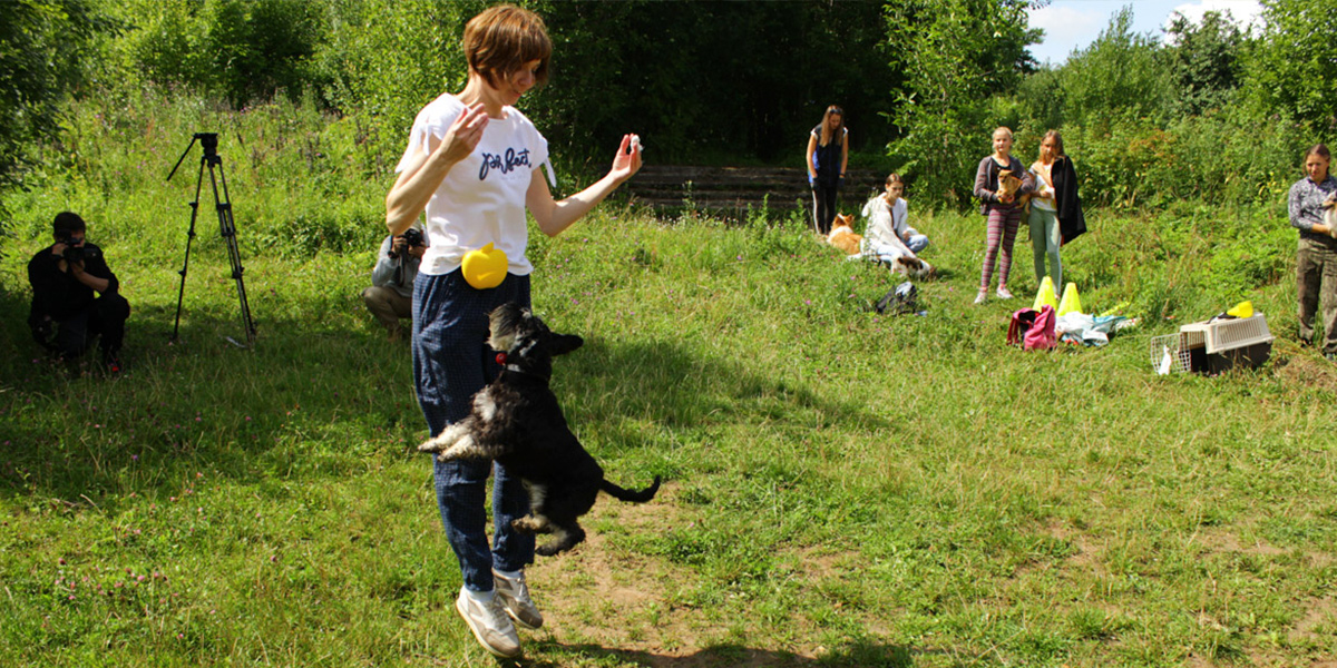 Тайна из Владимира попала в ТВ-шоу «Видели видео»