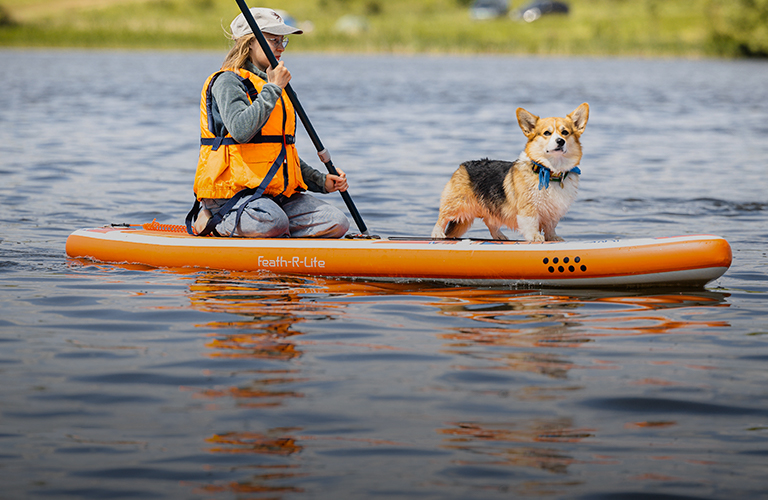 Пушистый заплыв. Русалка и другие участники встречи корги на sup-бордах