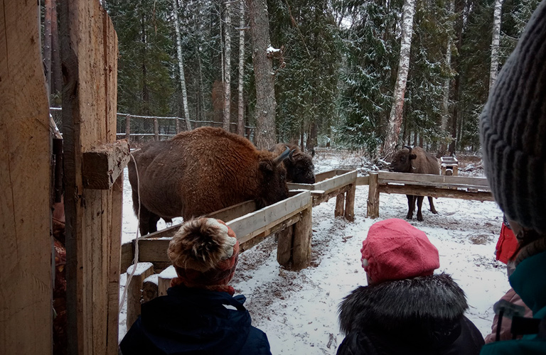 5 «нетуристических» маршрутов по Владимирской области