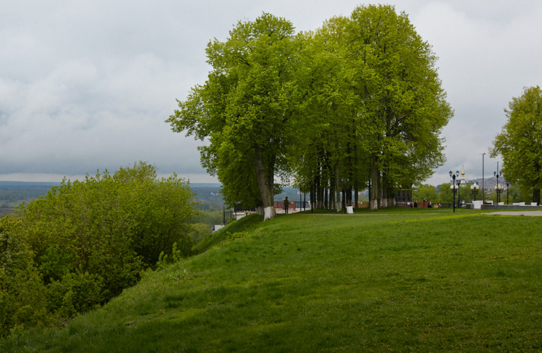 Лето на минималках. Каким предвещают синоптики конец июня?