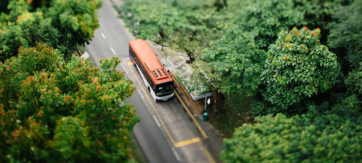 Доедем до Тракторной? Изменения владимирских маршрутов и автобусы-призраки