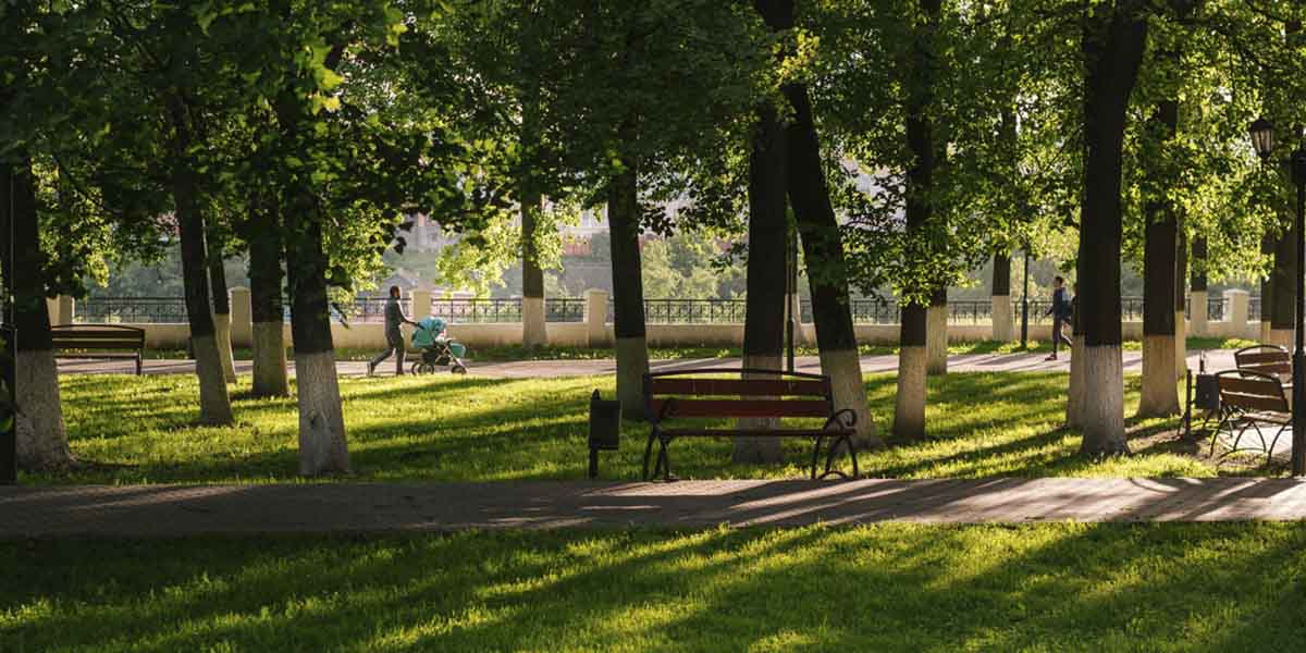 Много плитки не бывает. Как обновляют зоны отдыха в городах 33-го региона