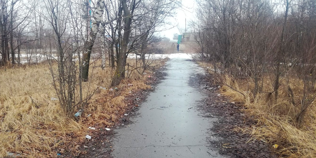 Проблемы «Дружбы», «Зеленый щит» и вязниковские вишни