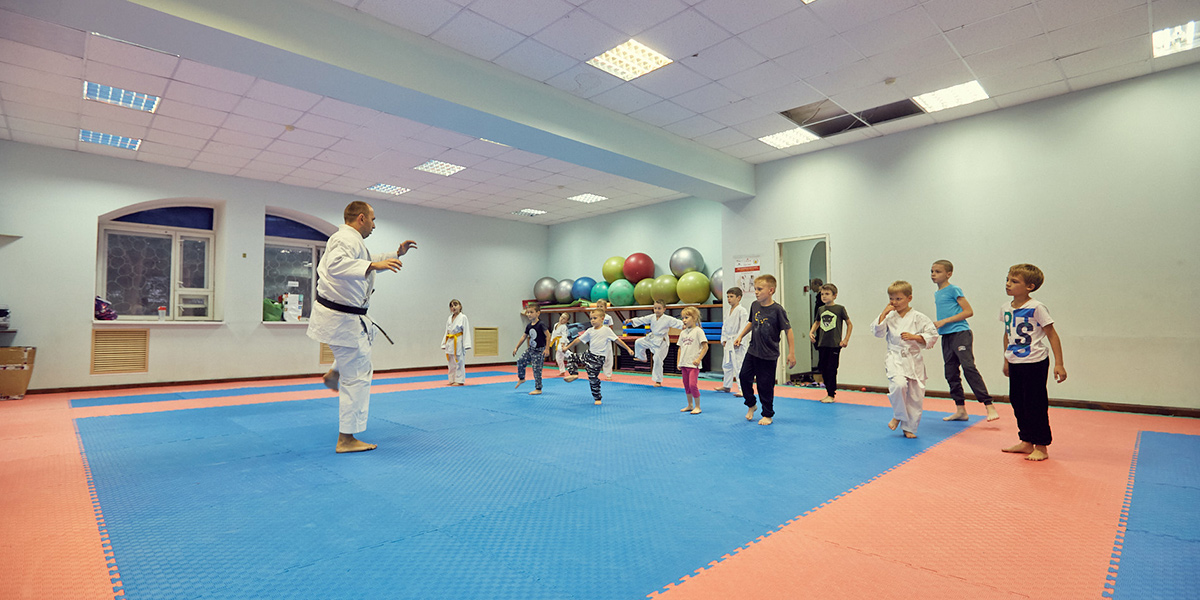 Японское каратэ, или Владимирская адаптация классического боевого искусства