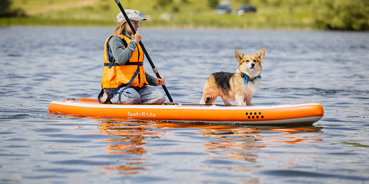 Пушистый заплыв. Русалка и другие участники встречи корги на sup-бордах
