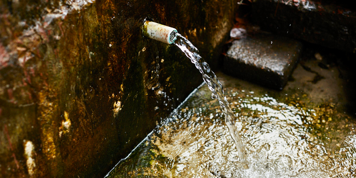 Выходим на чистую воду! 5 вопросов о родниках 33-го региона