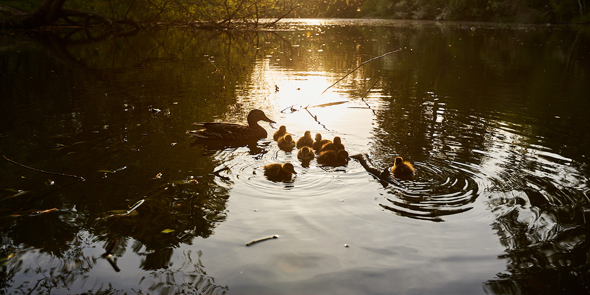 Цивильные и не очень: дюжина мест, где владимирцы могут отдохнуть у воды