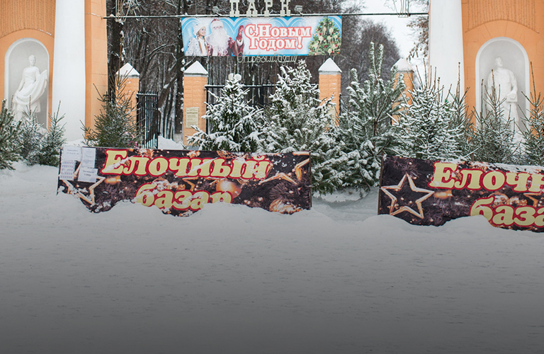 Елочные базары во Владимире заработают за неделю до Нового года